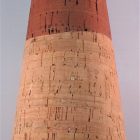 Armschutz Kork – Bild 8