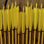 6 Holzpfeile Gewogen & Gespined – Bild 3