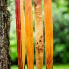 Luxbow Langbogen 58" lang, verschiedene Ausführungen