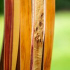 Luxbow Langbogen 58" lang, verschiedene Ausführungen – Bild 2