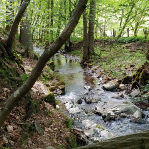 Parcours Geschenkgutschein